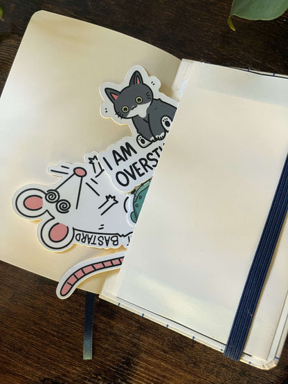 Open notebook with blue band, showing a pocket in the back containing 3 stickers.