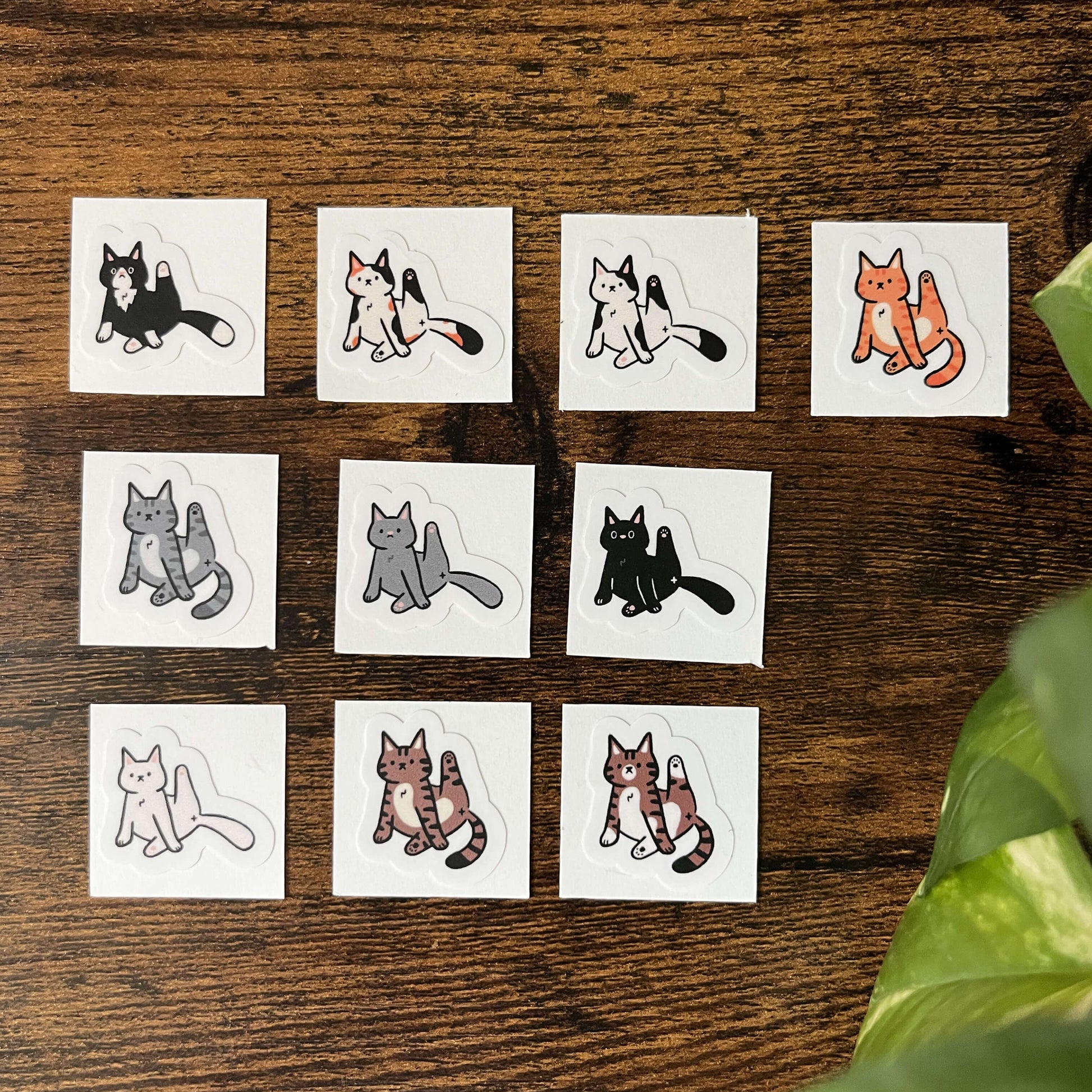 A set of 10 cat-themed stickers lined up against a wood background with leaves in the corner. Each cat is a different color and has its leg stuck up in the air, caught in the action of licking.