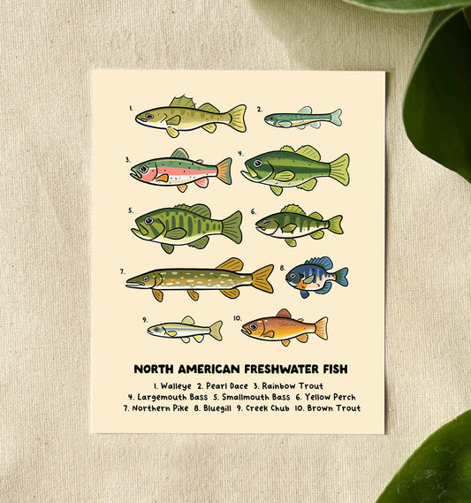 An illustration of North American Freshwater fish, done in a cute and whimsical style against a canvas back.