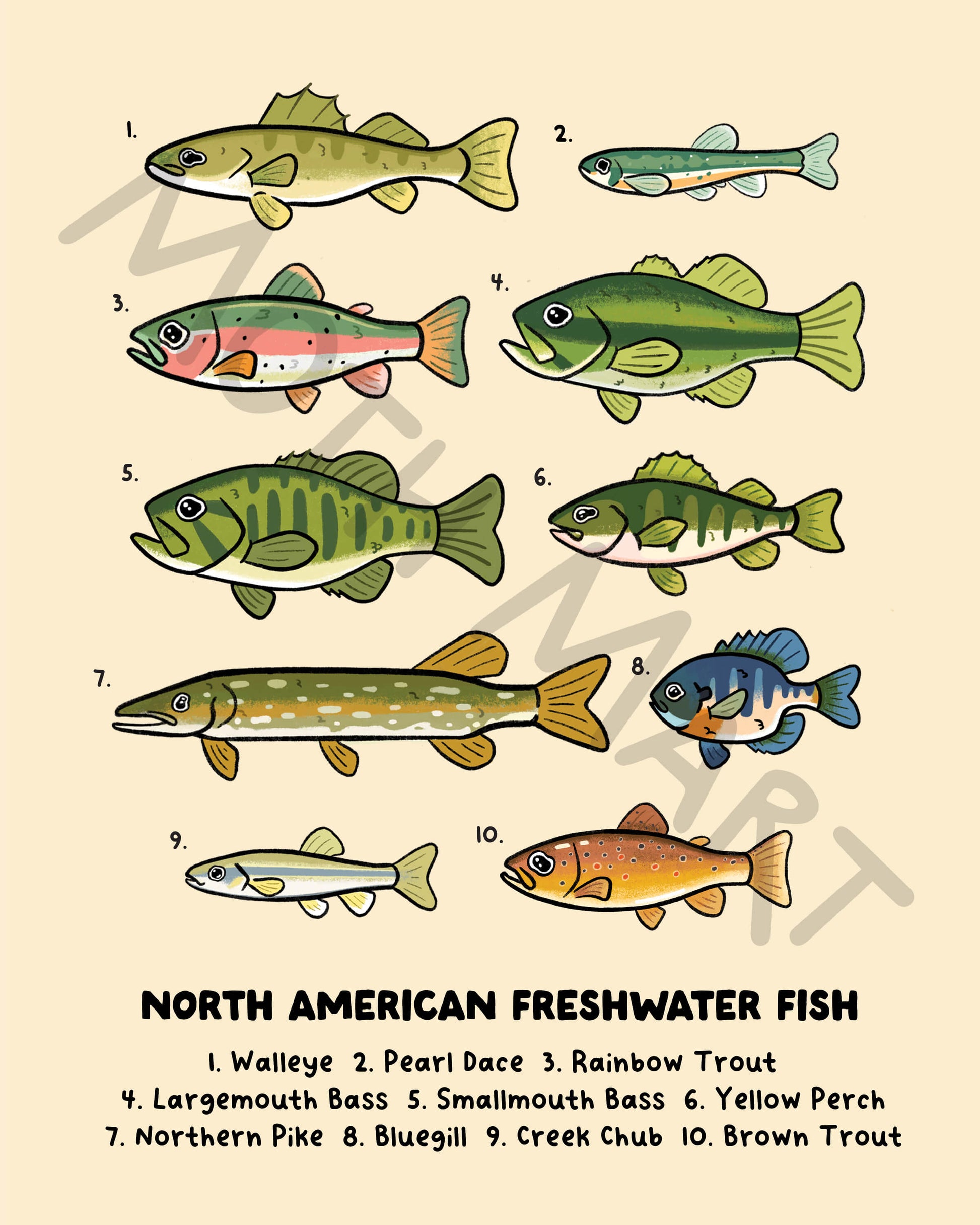 An illustration of 10 North American freshwater fish in a cartoon style.