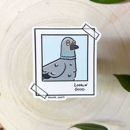 Sticker of a cartoon pigeon on a polaroid with text 'Lookin' Good' on a wooden surface with leaves.