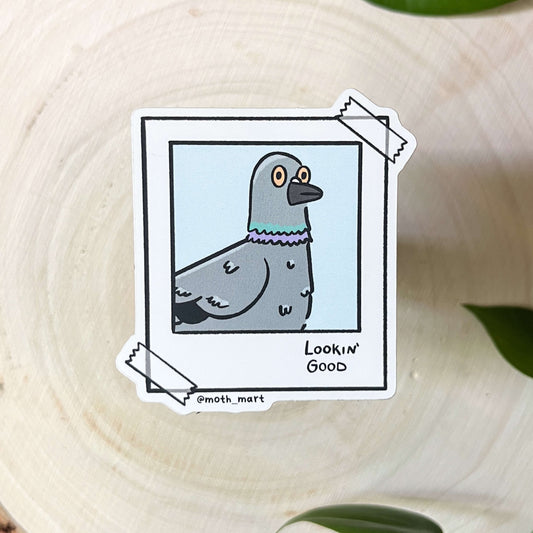 Sticker of a cartoon pigeon on a polaroid with text 'Lookin' Good' on a wooden surface with leaves.