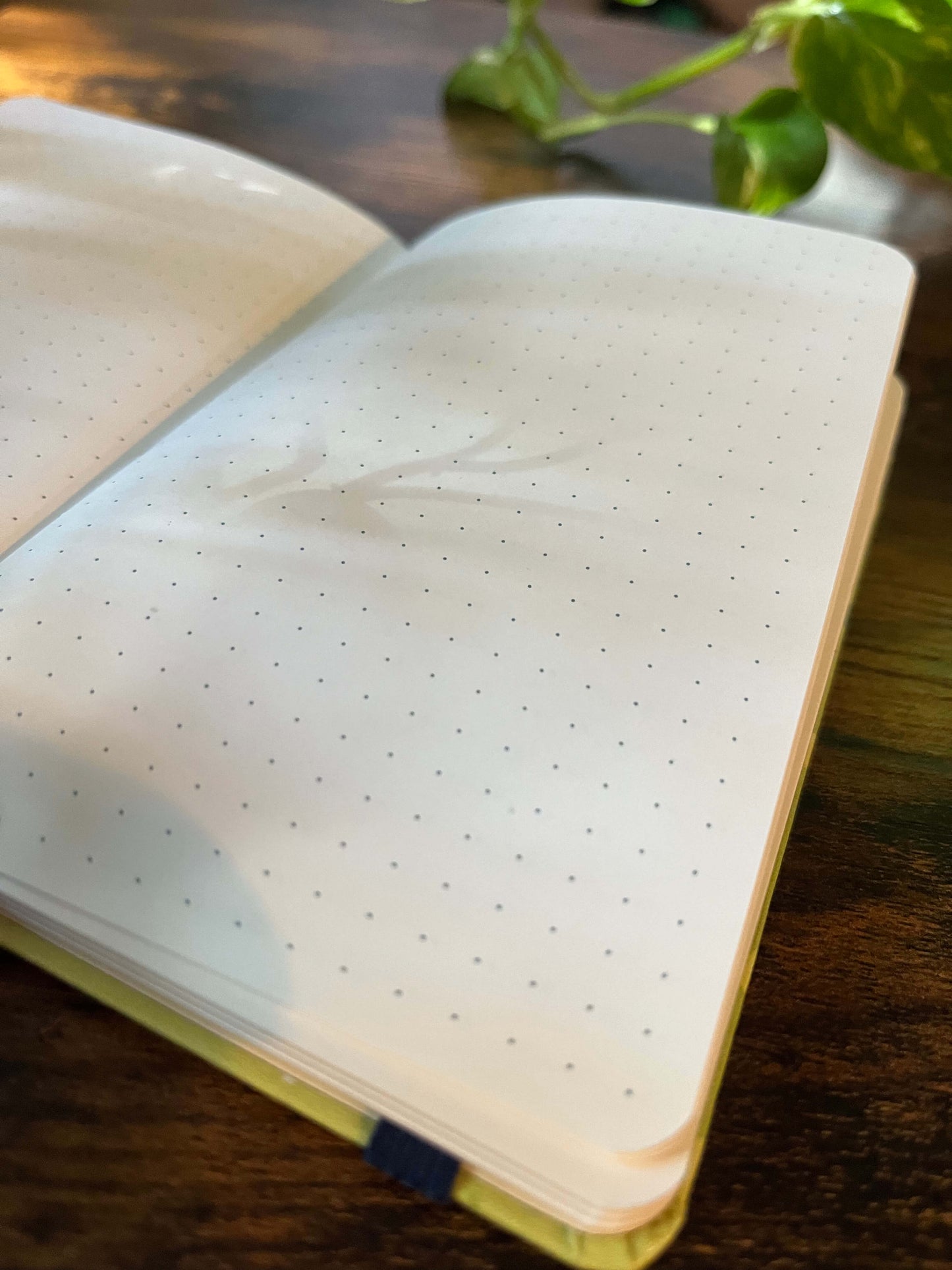 Open dotted notebook on a wooden table, sunlight casting soft leaf shadows on the pages.