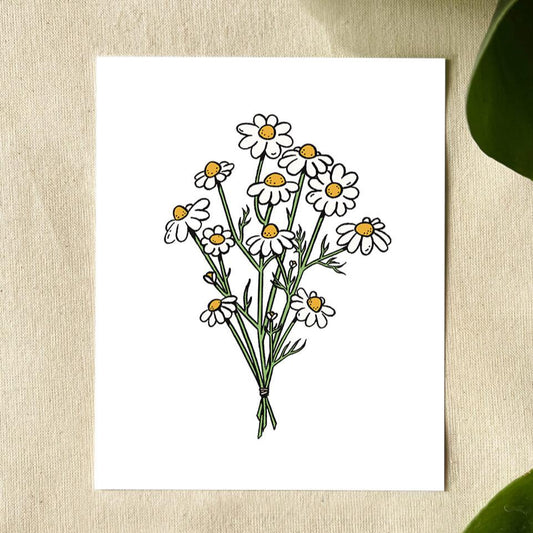 Illustration of a bouquet of white and yellow daisies with stems tied together.