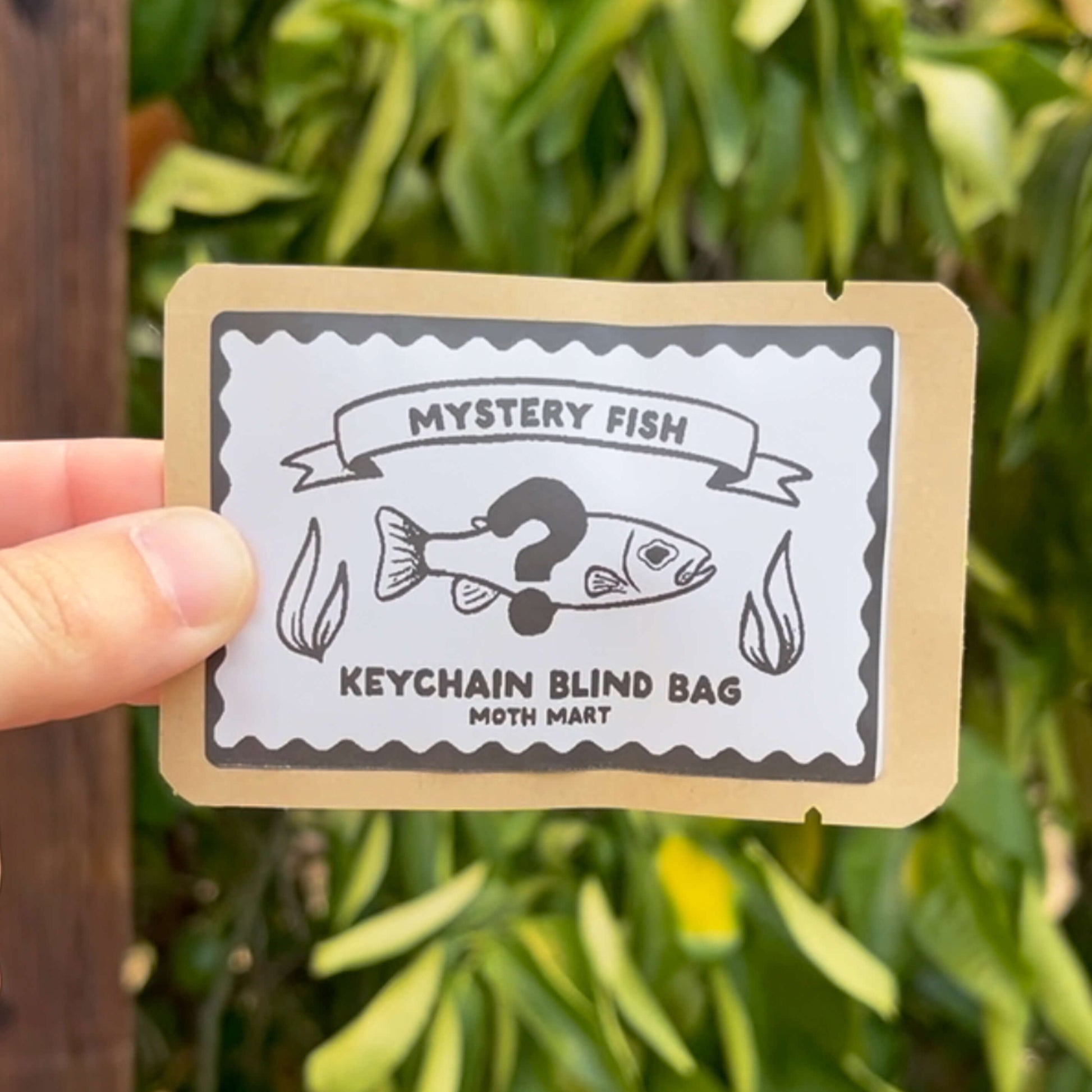 Bag with 'Mystery Fish' keychain blind bag design held against a green leafy background.