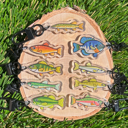 9 fish keychains on a wood coaster set against a grass background