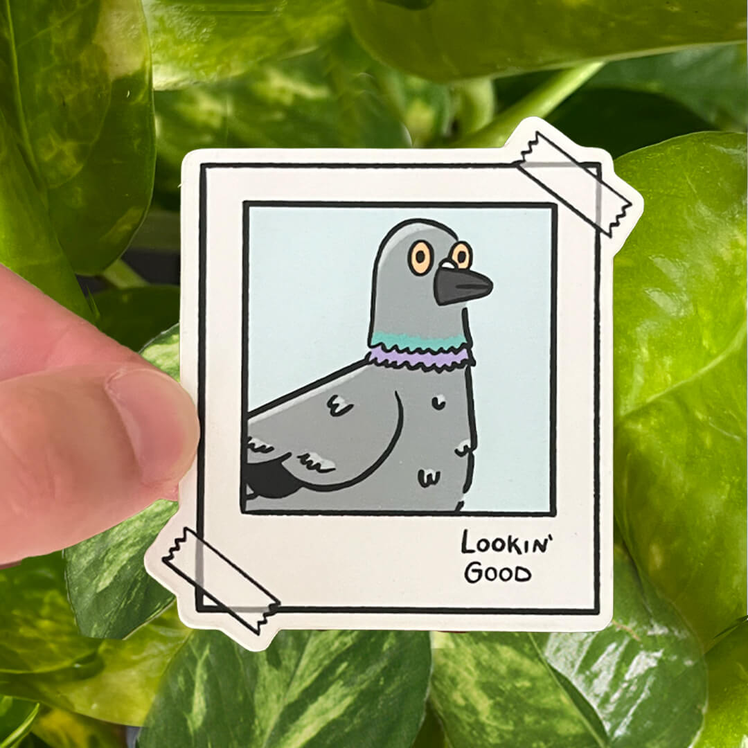 Sticker of a polaroid picture cartoon of a pigeon with the caption "lookin' good".