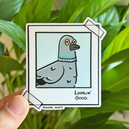 A hand holds a die-cut sticker featuring a cartoon pigeon in a polaroid-style frame with the text 'Lookin' Good' and '@moth_mart'. The background is a real environment with green plant leaves.